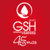 Logo Grupo GSH