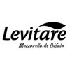 Logo Levitare
